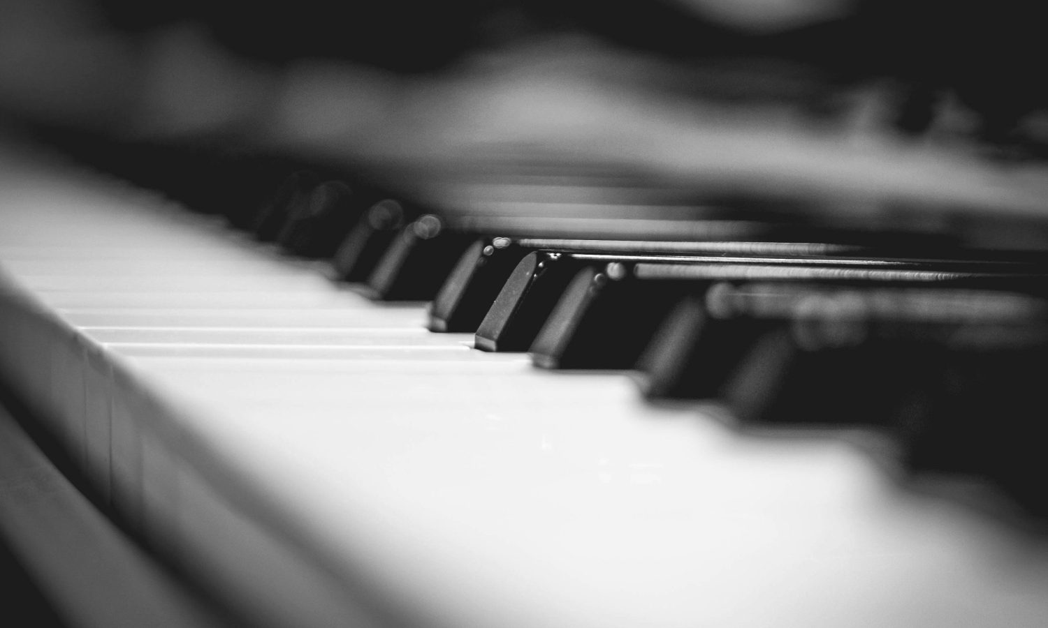 pexels-bryan-geraldo-184369-586415 pexels-bryan-geraldo-184369-586415